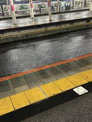 224861 B