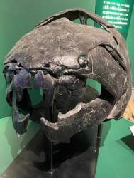 37889 B
