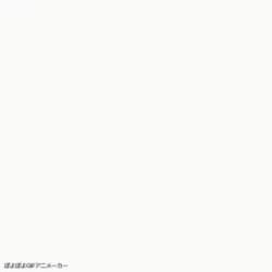 2630604 B
