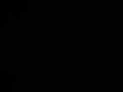 3004562 B