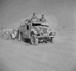 45833 B