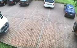 7993466 B