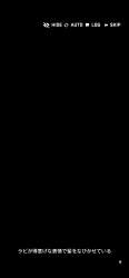 69091 B
