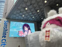 293707 B