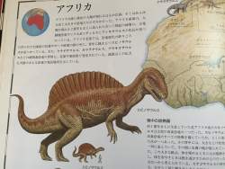 222392 B