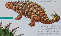 204607 B