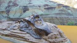167101 B