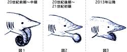 237271 B