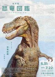 41018 B