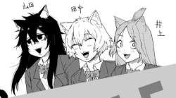 50982 B