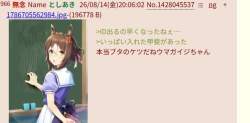 39529 B