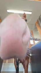 6226355 B