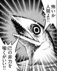 14669 B