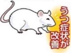 85780 B