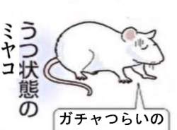 77646 B