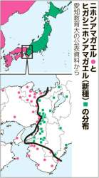 55571 B