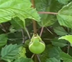 2863325 B