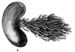 173736 B