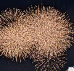 2555342 B