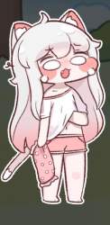 48293 B