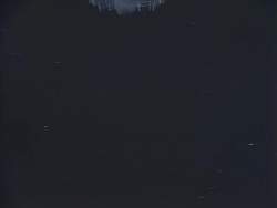 8187781 B