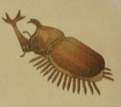 16365 B