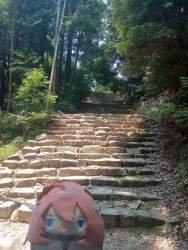 4421060 B