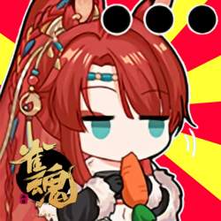 495582 B
