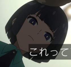 25066 B