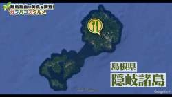 6147433 B