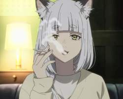 88484 B