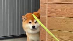 2279248 B