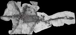 110737 B