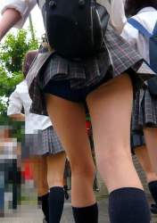71331 B