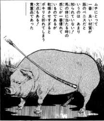76546 B