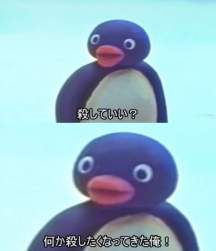 17526 B