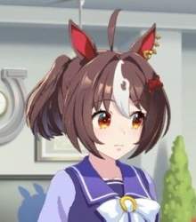 17319 B