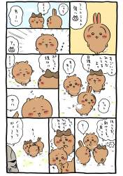 553605 B