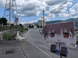 256565 B