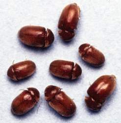 111840 B