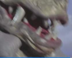 39473 B