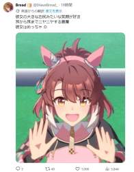 84233 B