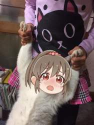 87484 B