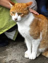 755741 B