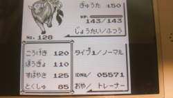 95146 B