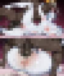 25085 B