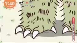1431536 B