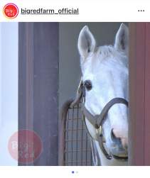 725382 B