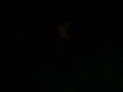 8181925 B