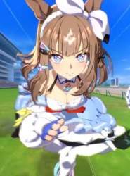 33613 B